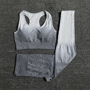 Seamless Women Yoga Set - Top and Legging